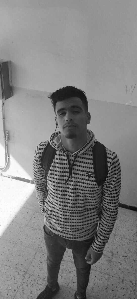 ���� 21005610 ����� Dadi, 24 ����, ���� ���������� � ������