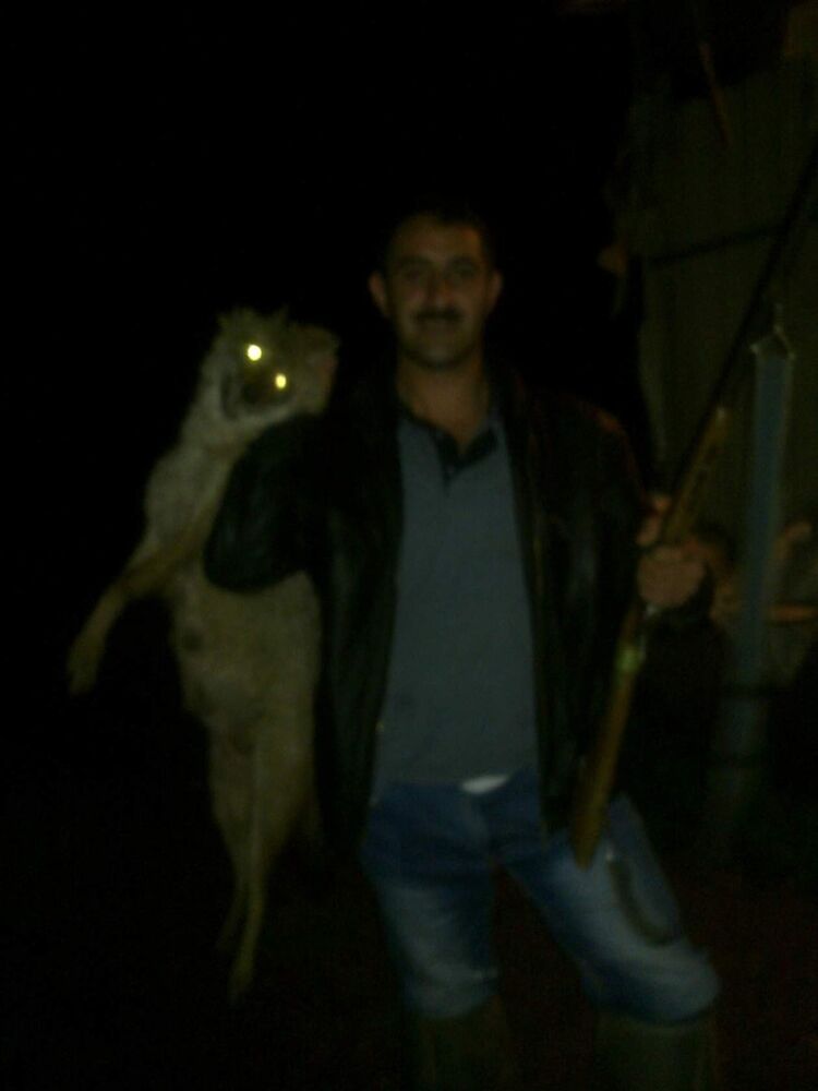  10096060  BABEK, 39 ,    
