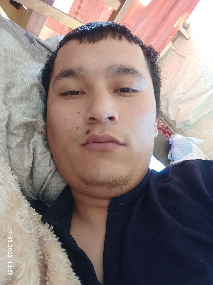  33232150  , 36 ,    