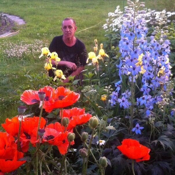 ���������� ������ ��������, ���� ������� ������, 51 ���, ������������ ��� ������, ����� � ���������, c�������� ���������