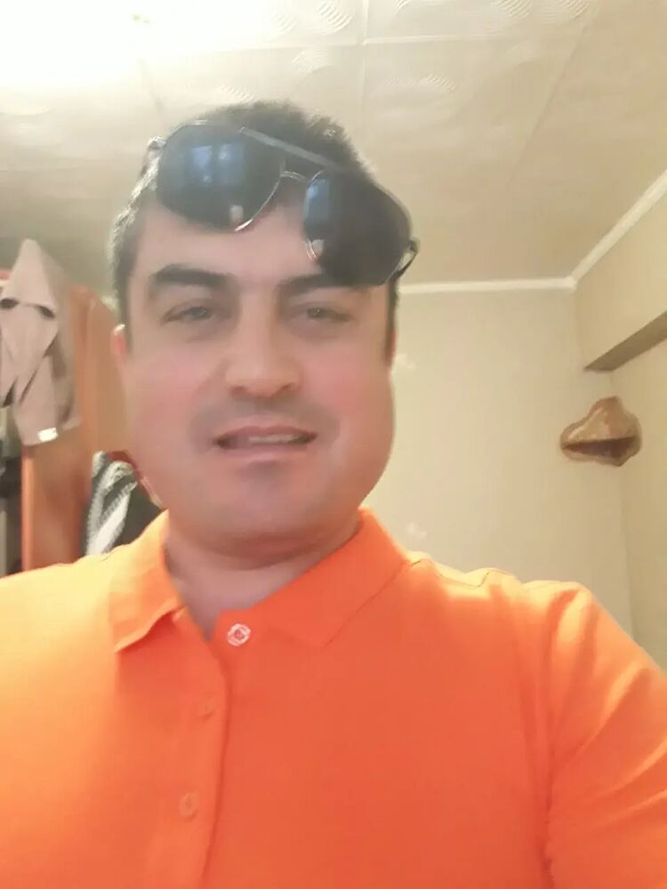  33832620  , 41 ,    