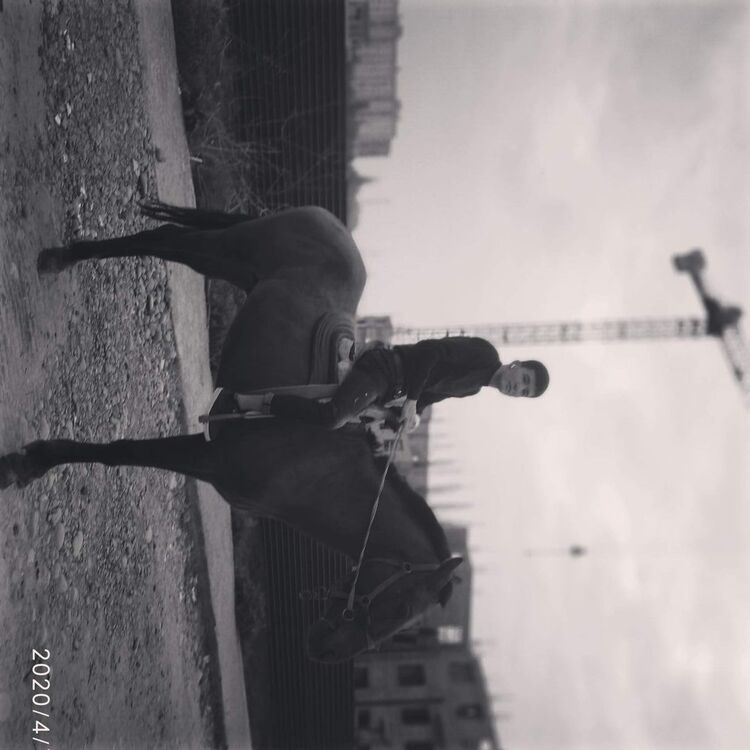  29324280  , 27 ,    -