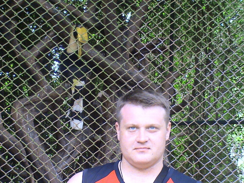 ���������� �����������, ���� ������� ��������, 44 ����, ������������ ��� ������, ����� � ���������, c�������� ���������