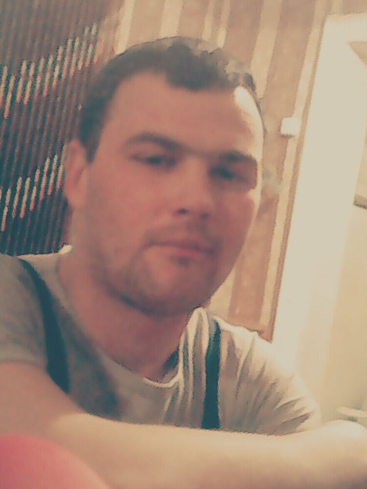  31795320  , 31 ,    