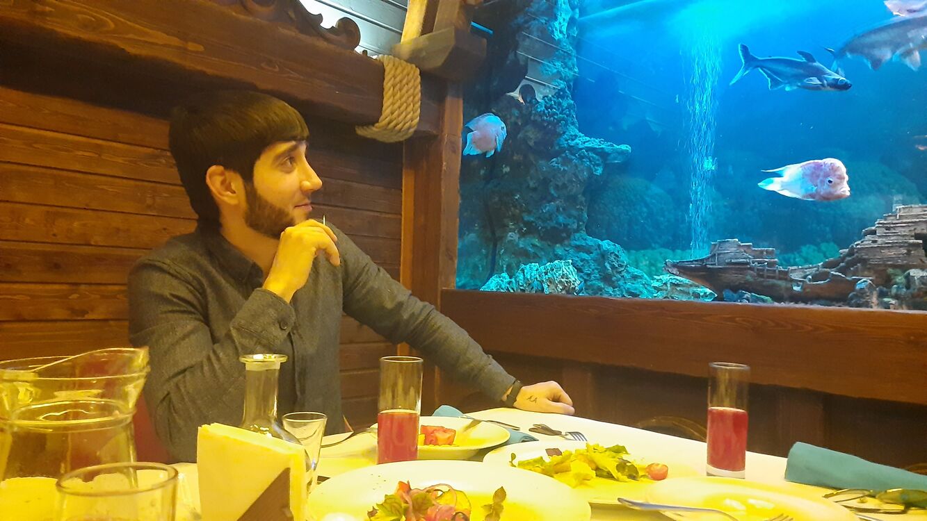 ���������� ������, ���� ������� �����, 28 ���, ������������ ��� ������, ����� � ���������, c�������� ���������, ���������