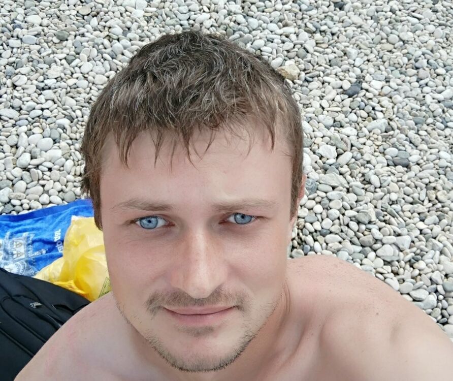  53438260  , 38 ,    