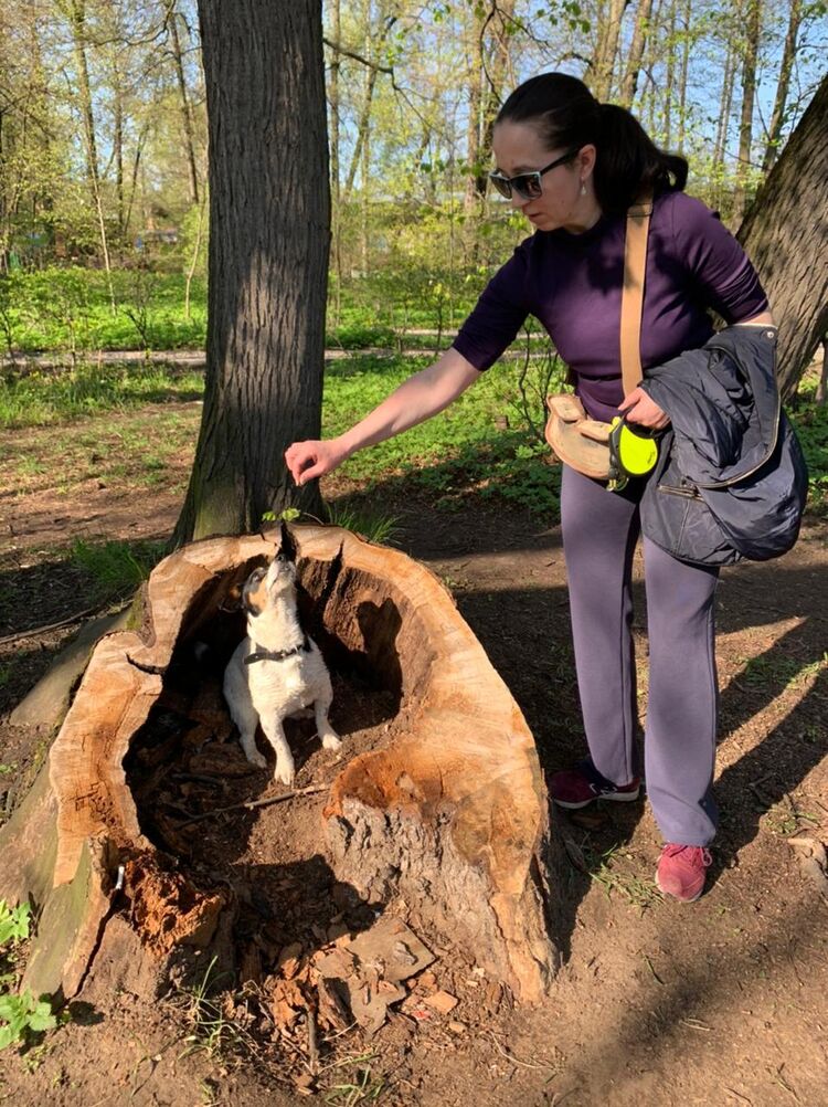 ���������� ������, ���� ������� Galina, 51 ���, ������������ ��� c�������� ���������