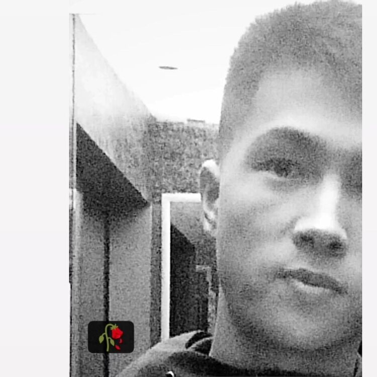 ���� 40866830 ����� ����, 22 ����, ���� ���������� � ������