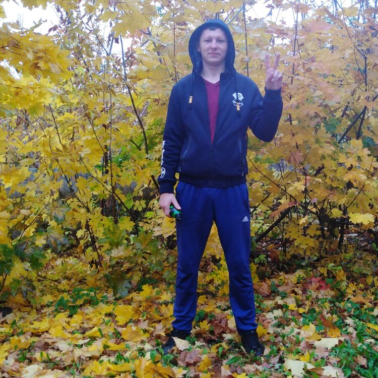 ���� 18463080 ������� ����, 33 ����, ���� ���������� � ��������������