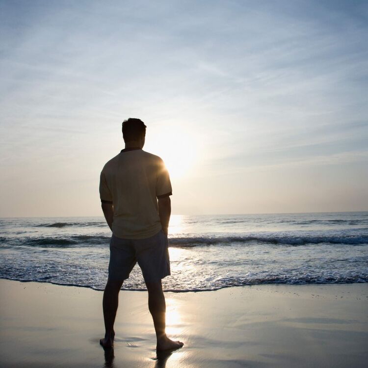 ���� 33356470 ������� ������, 33 ����, ���� ���������� � ����������