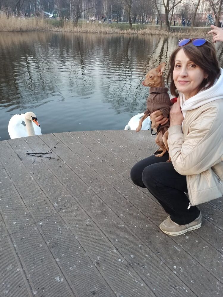 ���������� �����������, ���� ������� �������, 67 ���, ������������ ��� ������, ����� � ���������