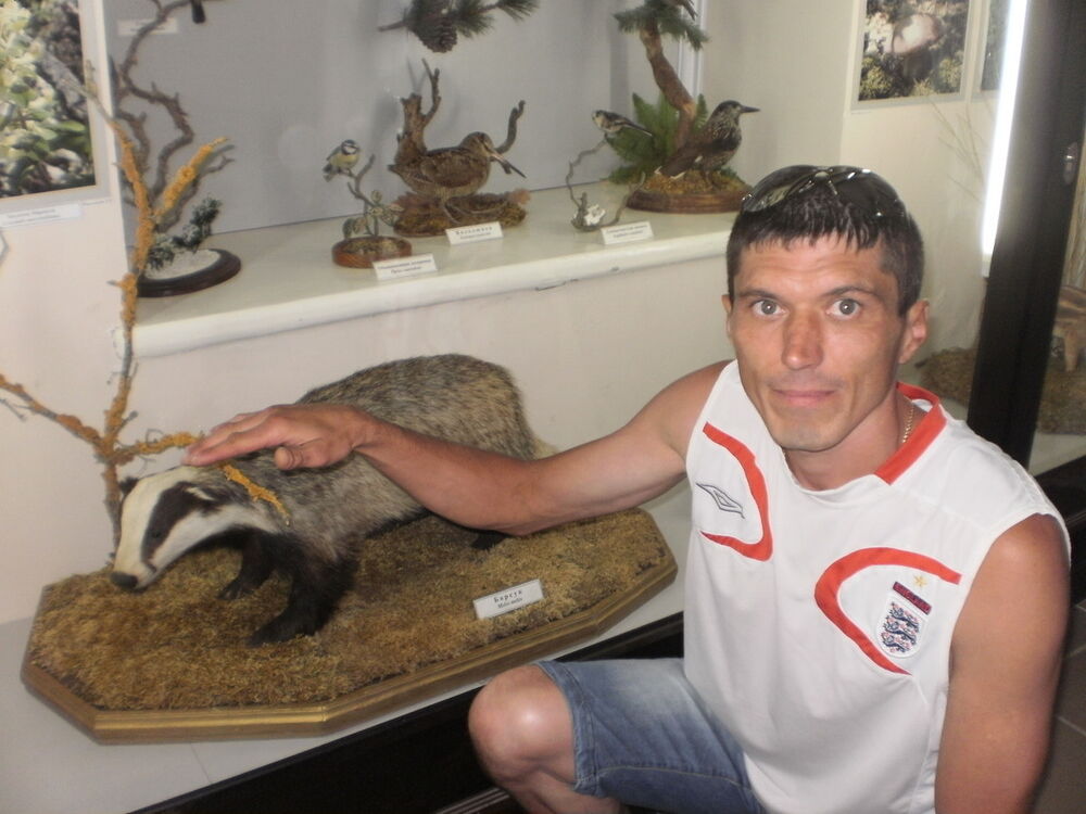 ���������� ���������, ���� ������� �������, 48 ���, ������������ ��� ������, ����� � ���������, c�������� ���������