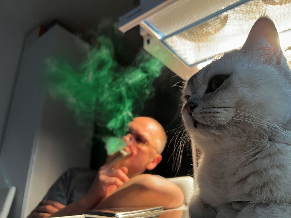 ���������� ������, ���� ������� ����, 45 ���, ������������ ��� ������, ����� � ���������