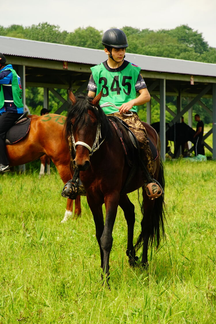 ���� 55502440 ����� ������, 20 ���, ���� ���������� � ��������