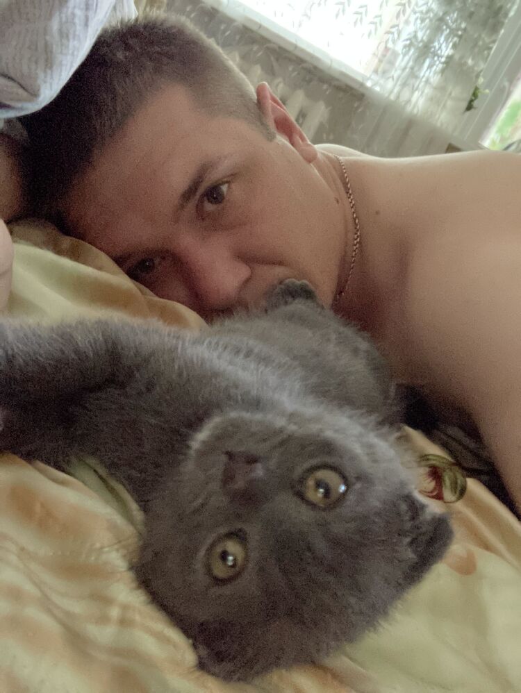  38072000  , 33 ,    -