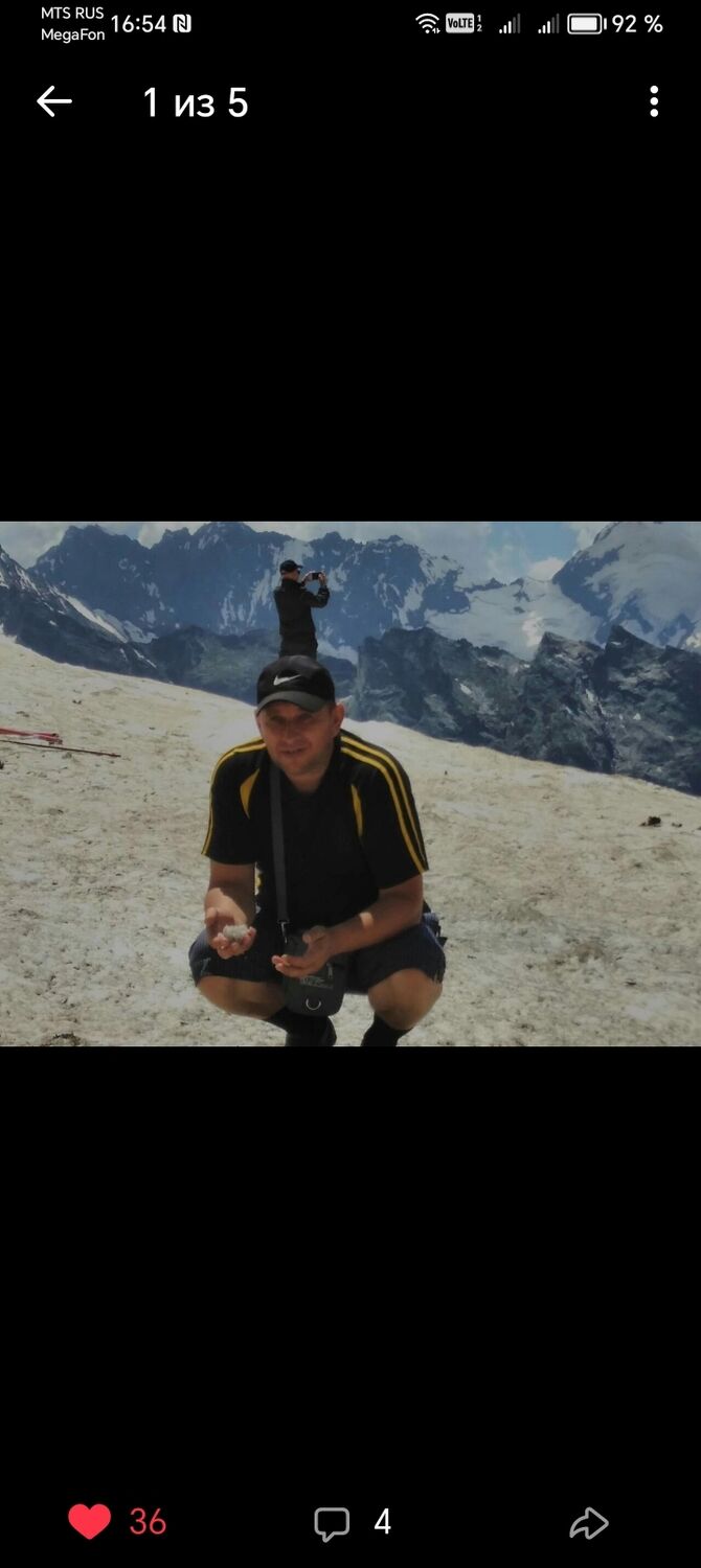  44310890  , 53 ,    