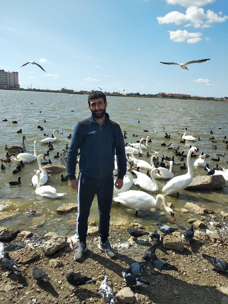 ���� 23703300 ������� ���, 36 ���, ���� ���������� � �����-����������