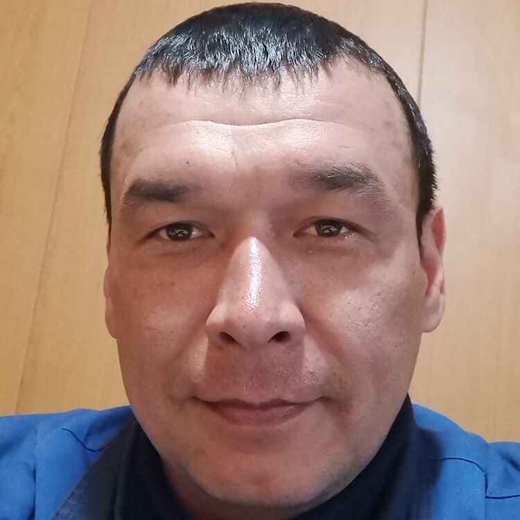  26481860  , 41 ,    