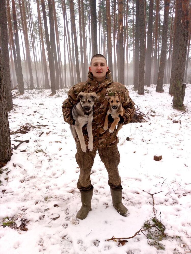 ���������� ������, ���� ������� �����, 27 ���, ������������ ��� ������, ����� � ���������