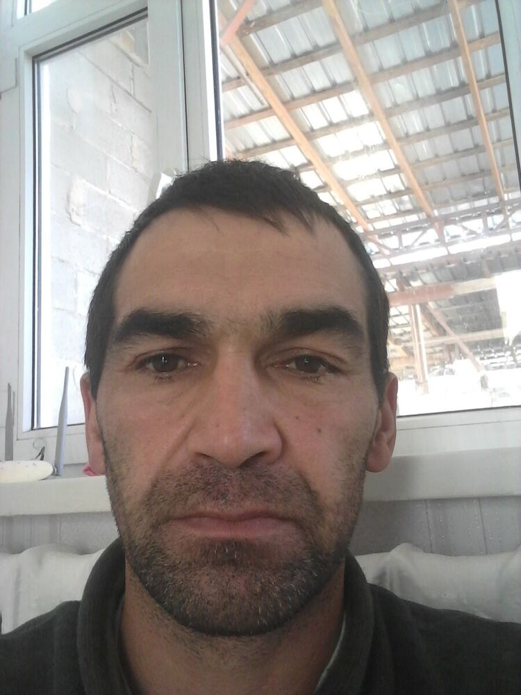  ,   Aslanov rysa, 46 ,   