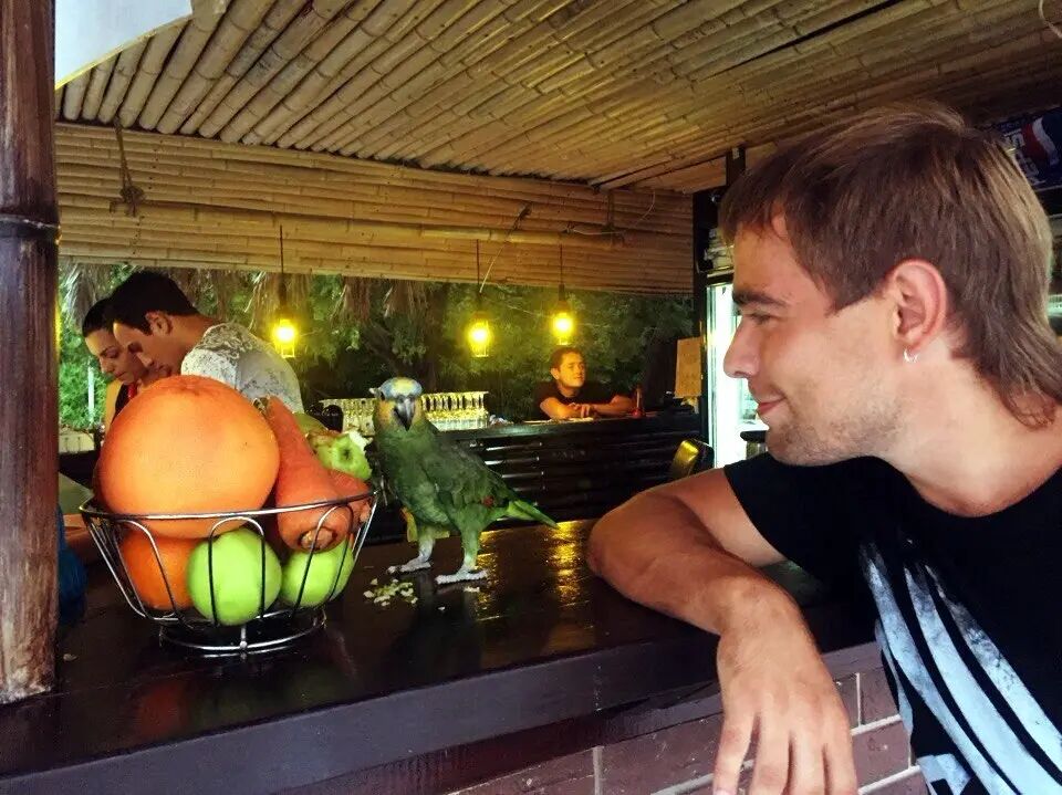 ���������� ������, ���� ������� �����, 37 ���, ������������ ��� ������, ����� � ���������, c�������� ���������, ���������