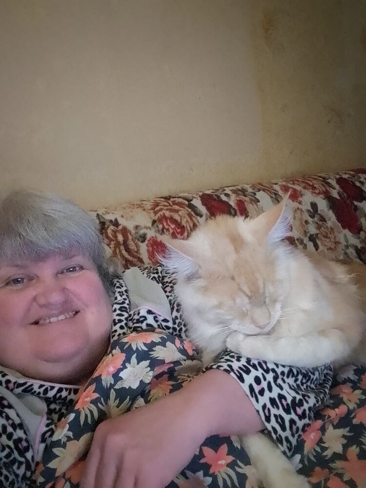 ���� 54158720 ������� ����, 55 ���, ���� ���������� � �����������