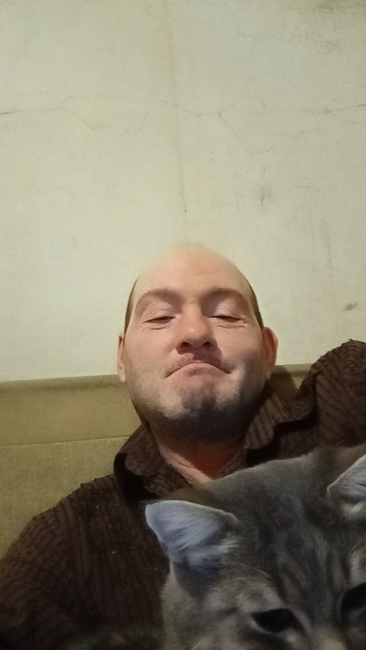  47504200  , 43 ,    