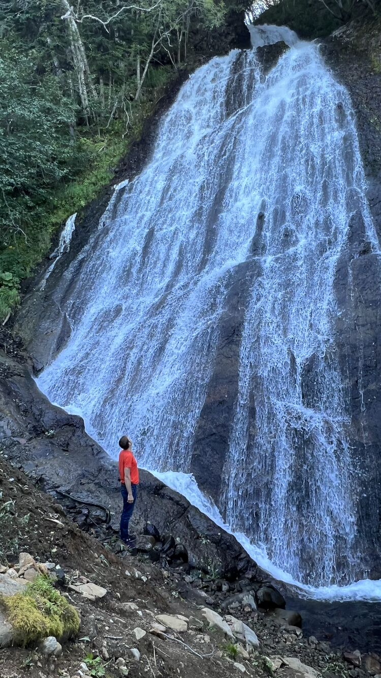 ���������� ������, ���� ������� �������, 38 ���, ������������ ��� ������