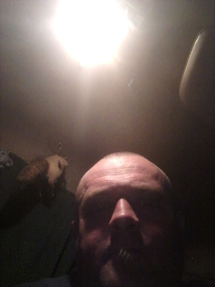  9447590  , 40 ,    