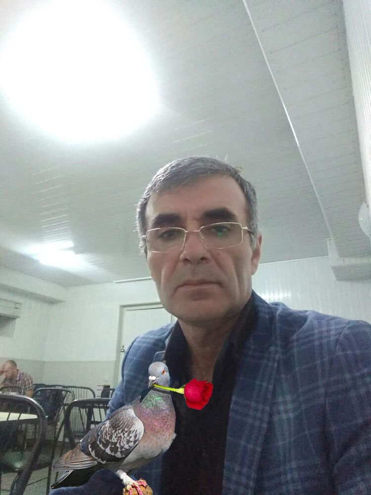  24206150  , 55 ,    