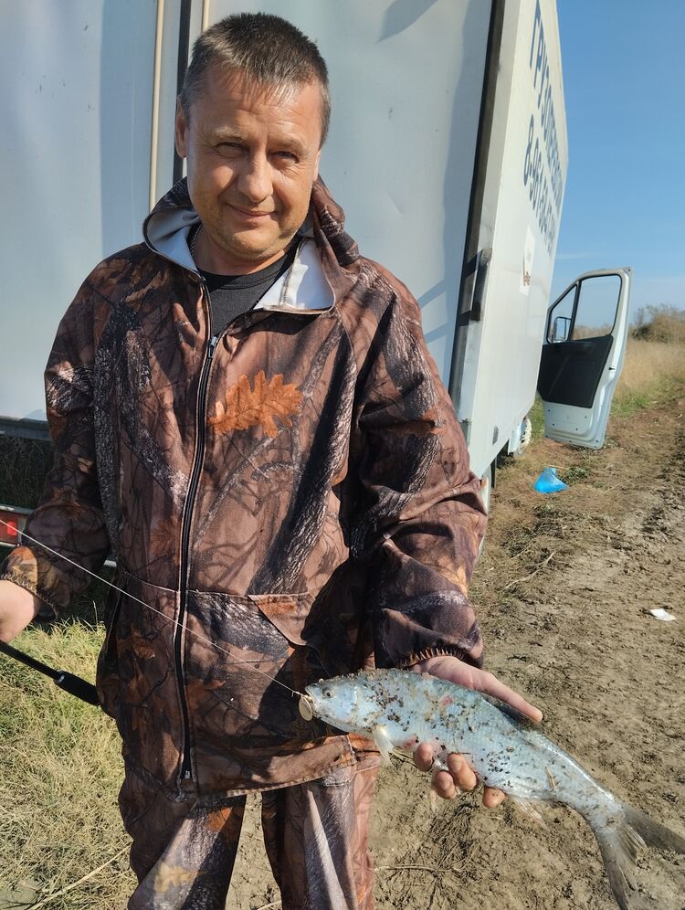 ���������� ���������, ���� ������� ������, 48 ���, ������������ ��� ������, ����� � ���������, c�������� ���������