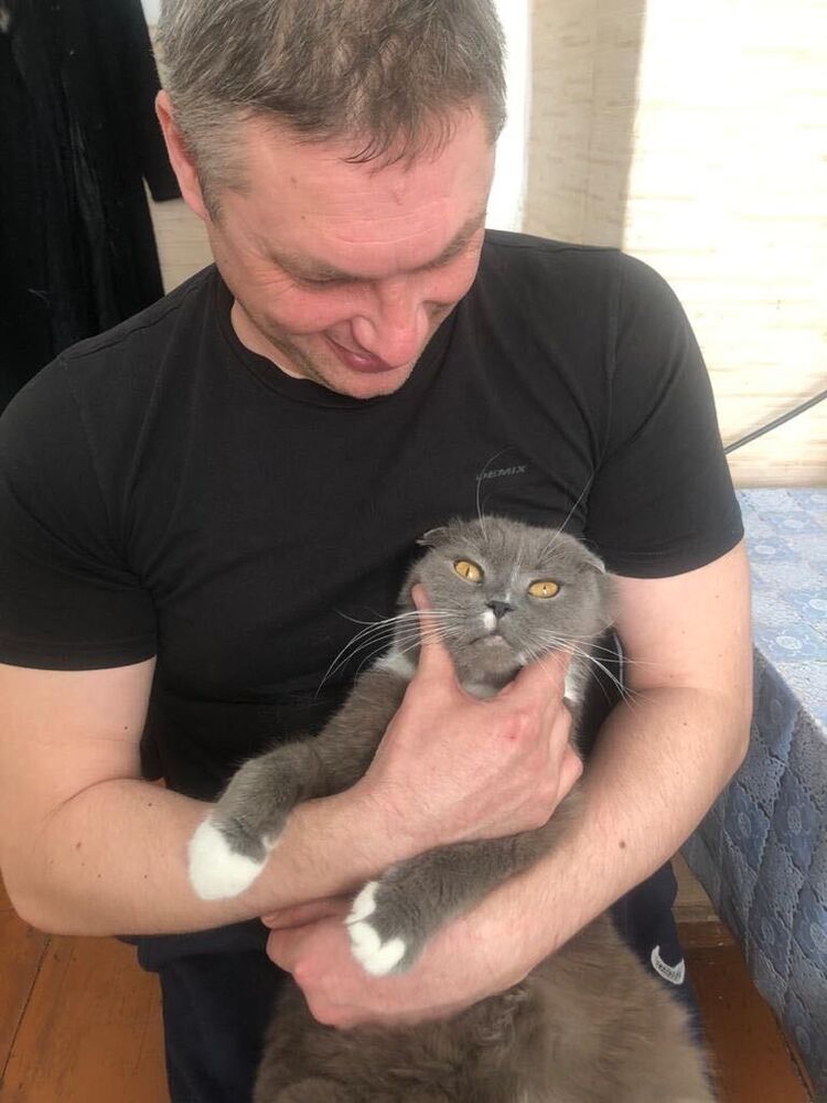 ���������� ������������, ���� ������� �������, 50 ���, ������������ ��� ������, ����� � ���������