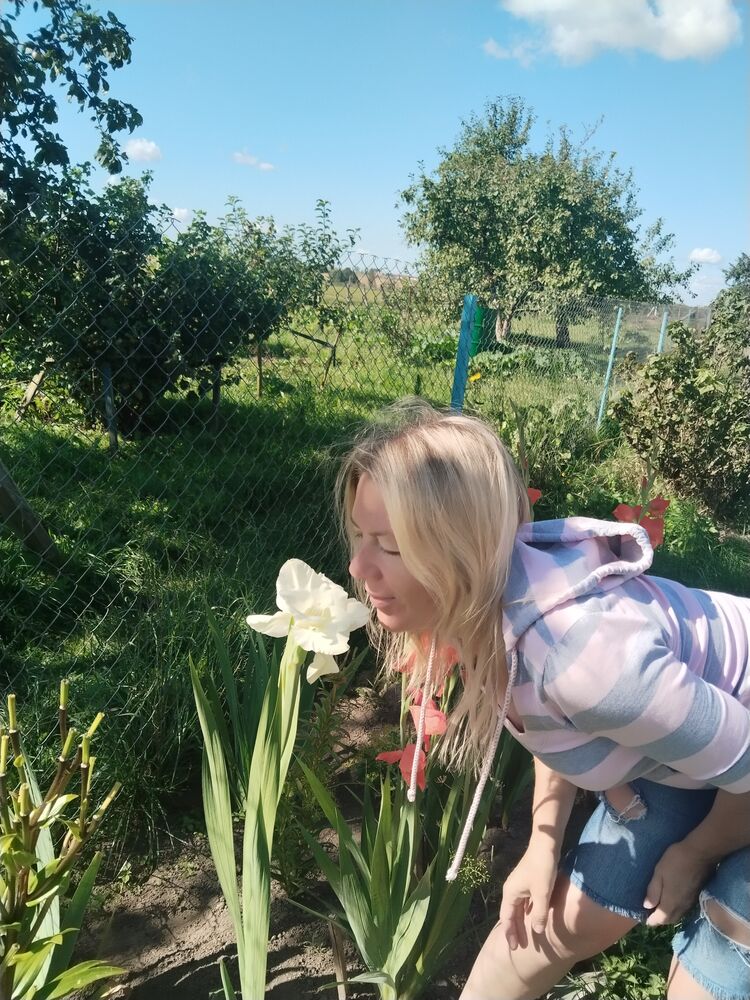 ���� 54930930 ������� ������, 43 ����, ���� ���������� � ������