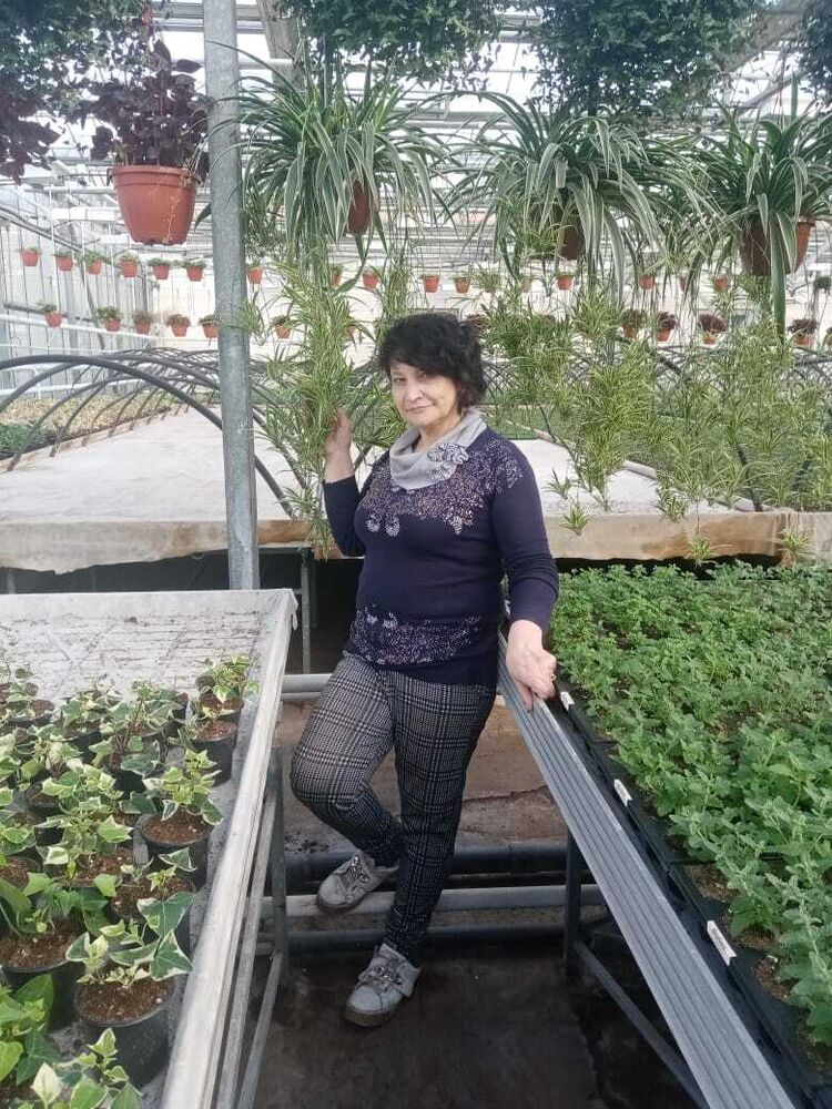  ,   , 53 ,   c 