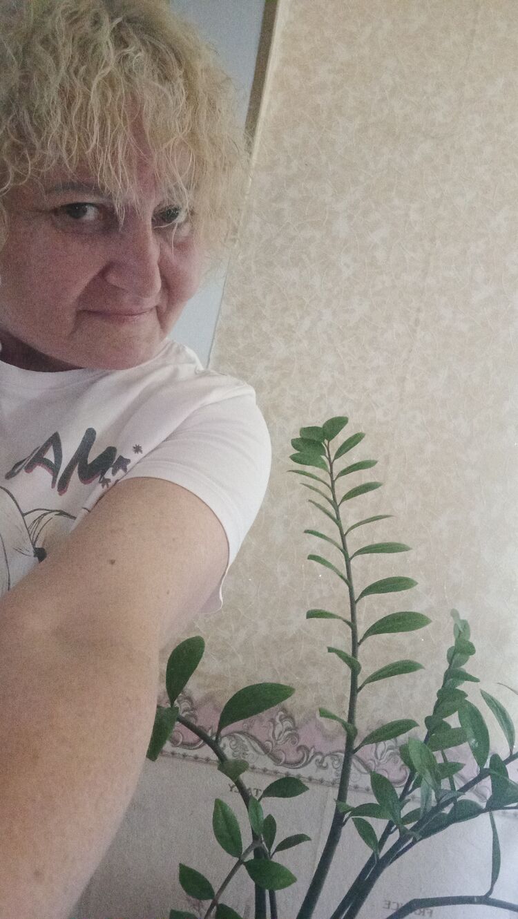  ,   , 56 ,   c , 