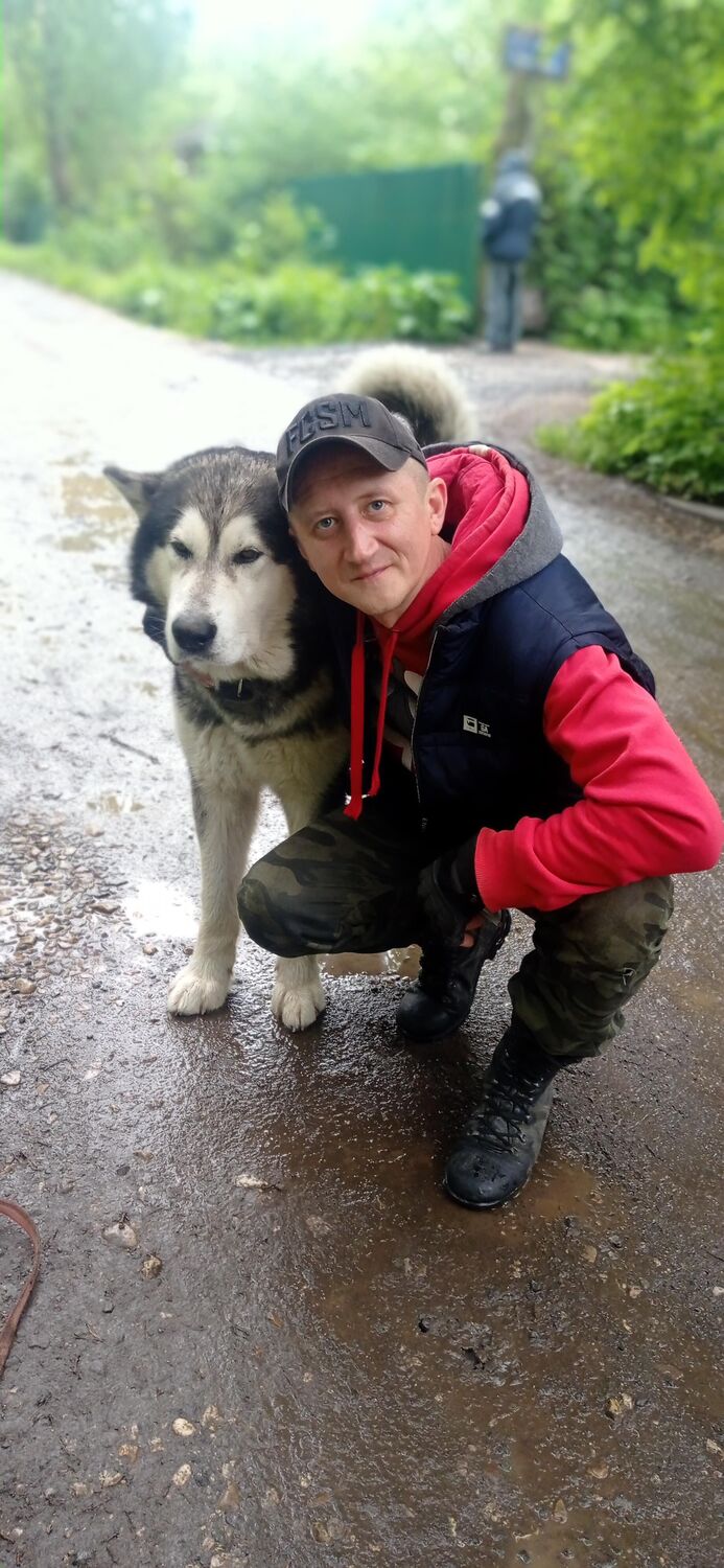 ���������� ������, ���� ������� ���������, 43 ����, ������������ ��� ����� � ���������, c�������� ���������