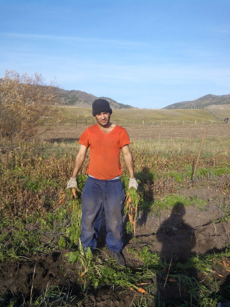 ���������� ����-���, ���� ������� Denni, 40 ���, ������������ ��� ����� � ���������, c�������� ���������