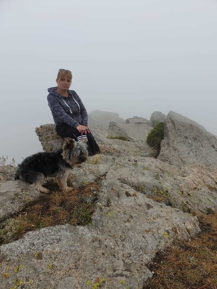 ���� 17817500 ������� ��������, 41 ���, ���� ���������� � ������