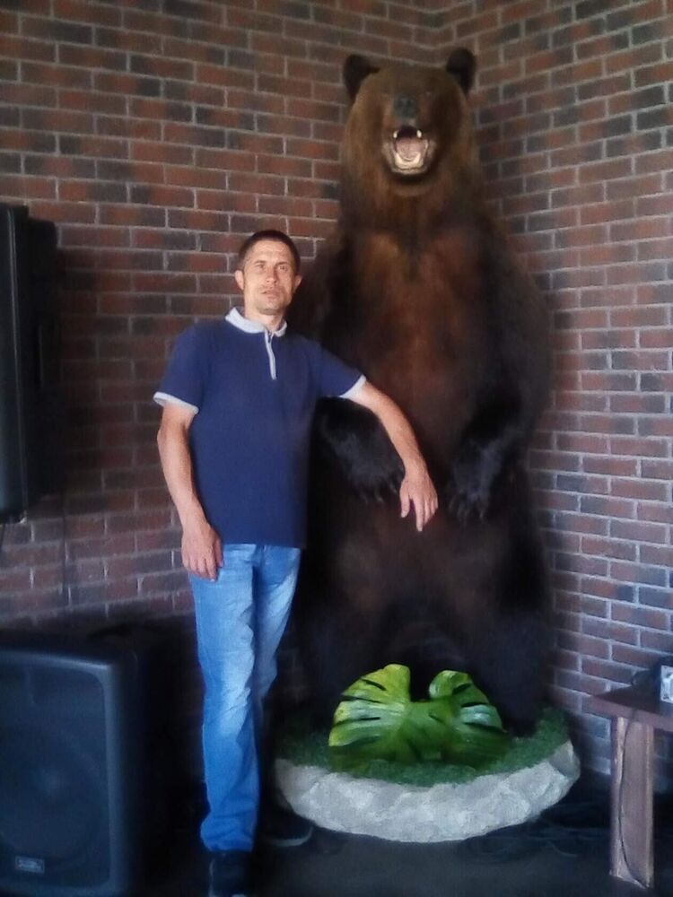 ���� 26886240 ������� ���������, 38 ���, ���� ���������� � ��������