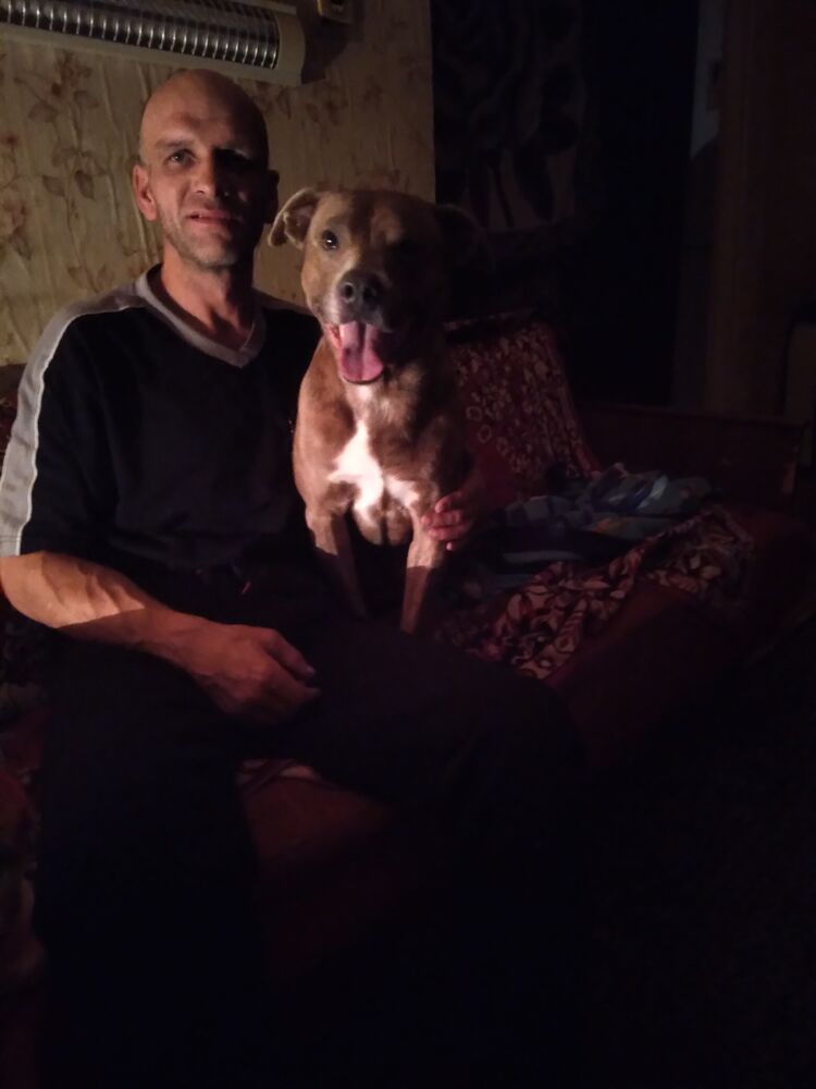 ���� 38173380 ������� ���������, 48 ���, ���� ���������� � ������