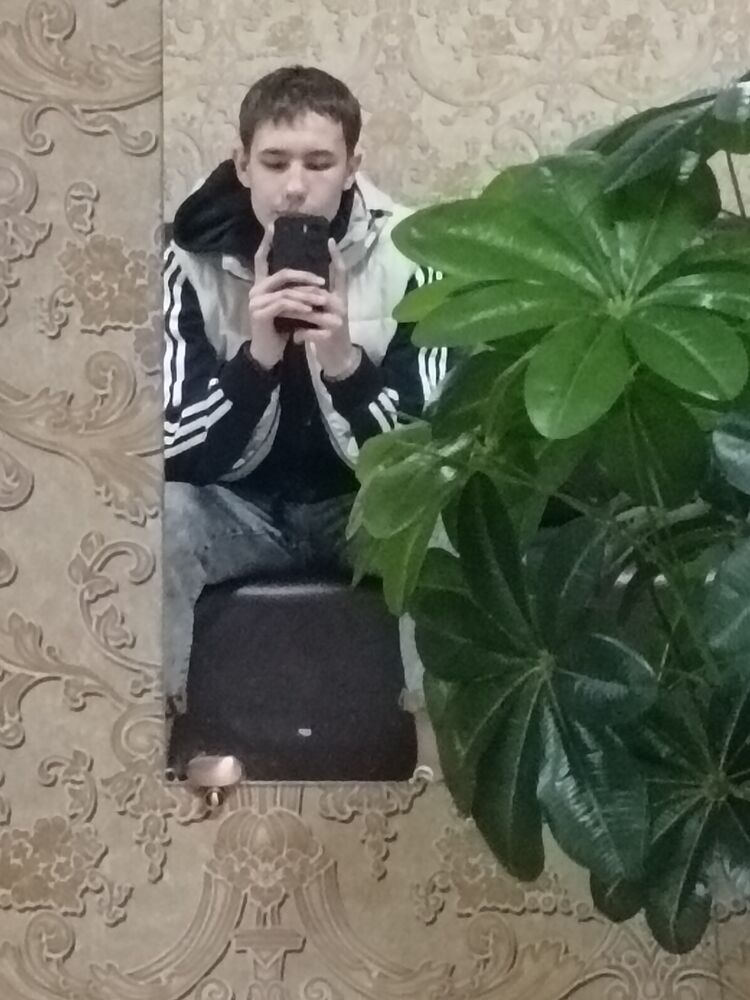  46229990  , 19 ,    