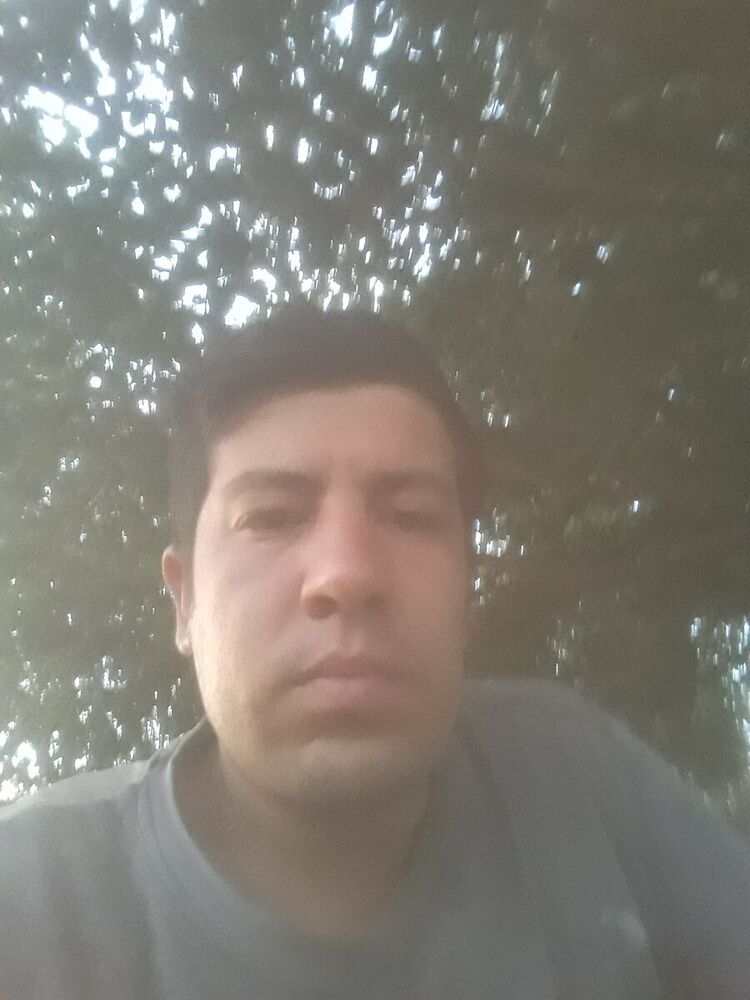 ���������� ��������, ���� ������� Zarif, 33 ����, ������������ ��� ������, ����� � ���������, c�������� ���������