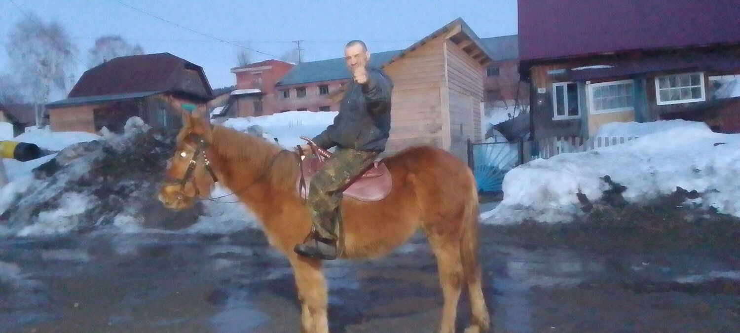  34251450  , 54 ,    