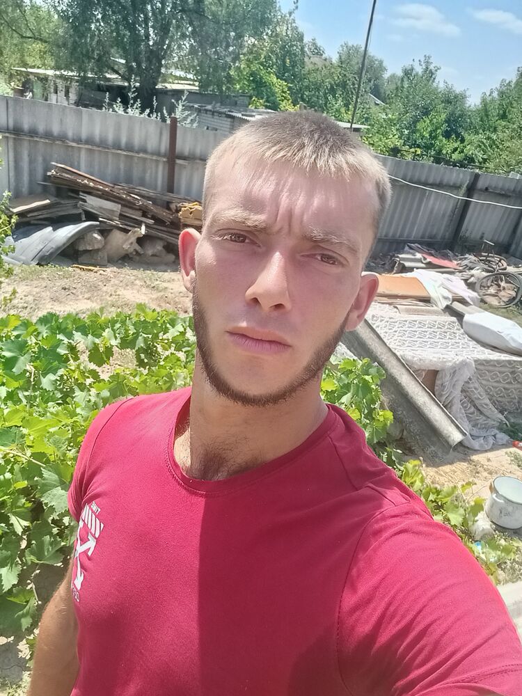  28156010  , 28 ,    