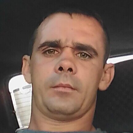  20313650  , 33 ,    