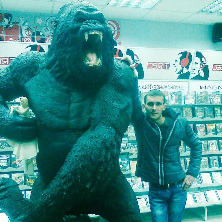 ���������� �����, ���� ������� ˸��, 33 ����, ������������ 