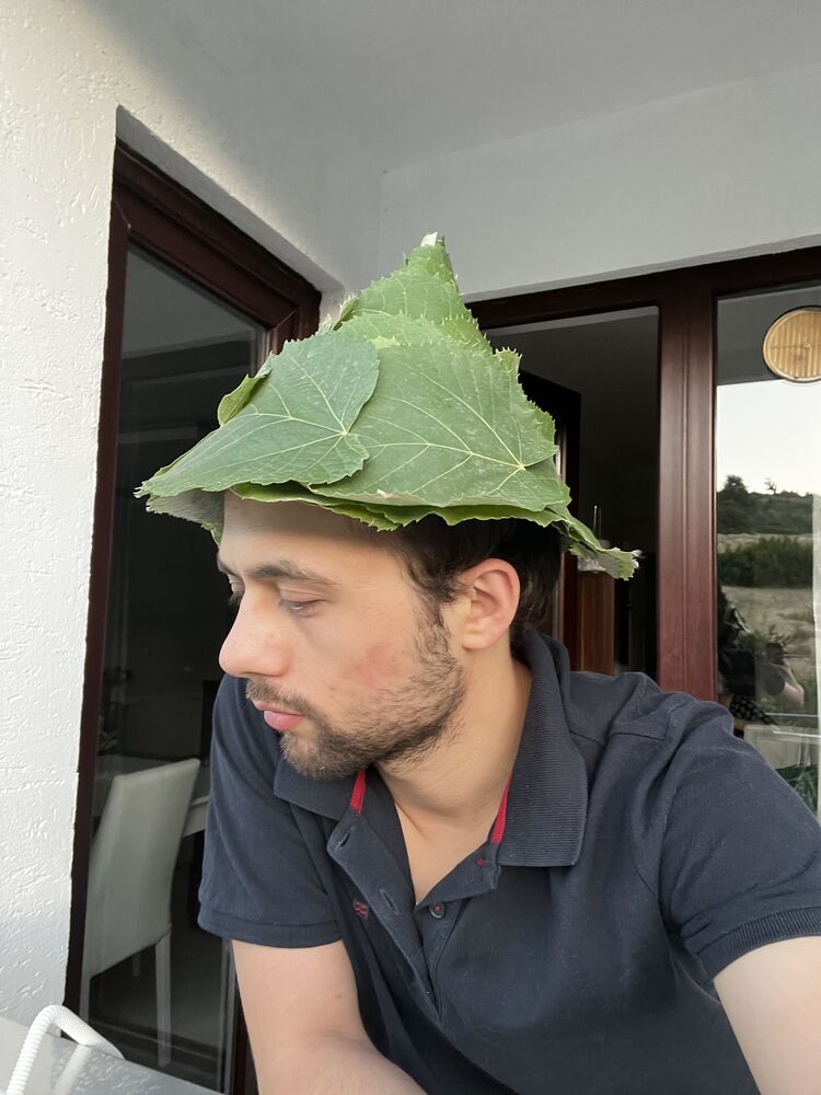  Kadikoy,   Tuna, 28 ,   ,   