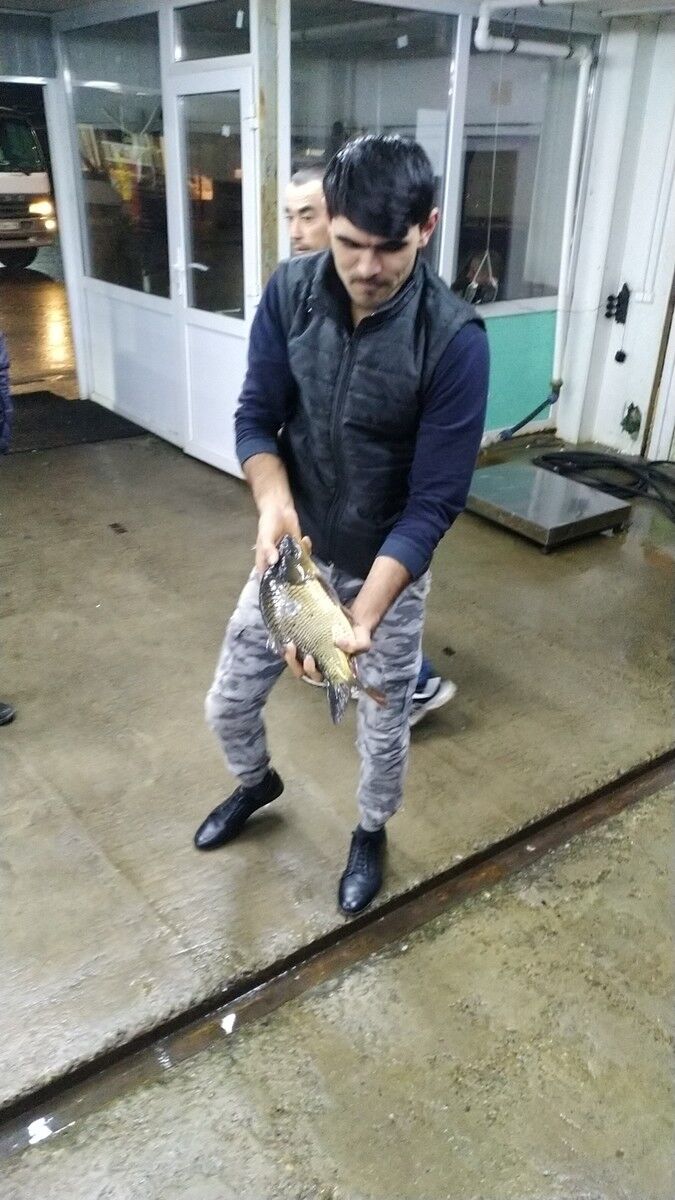 ���� 18451670 ������� Ulugbek, 34 ����, ���� ���������� � ������