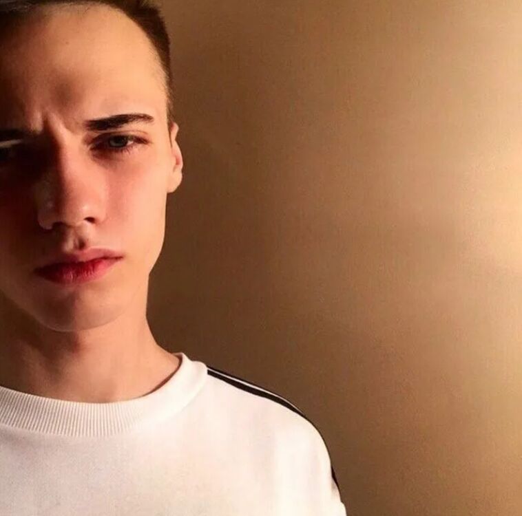  51703960  , 25 ,    Bow