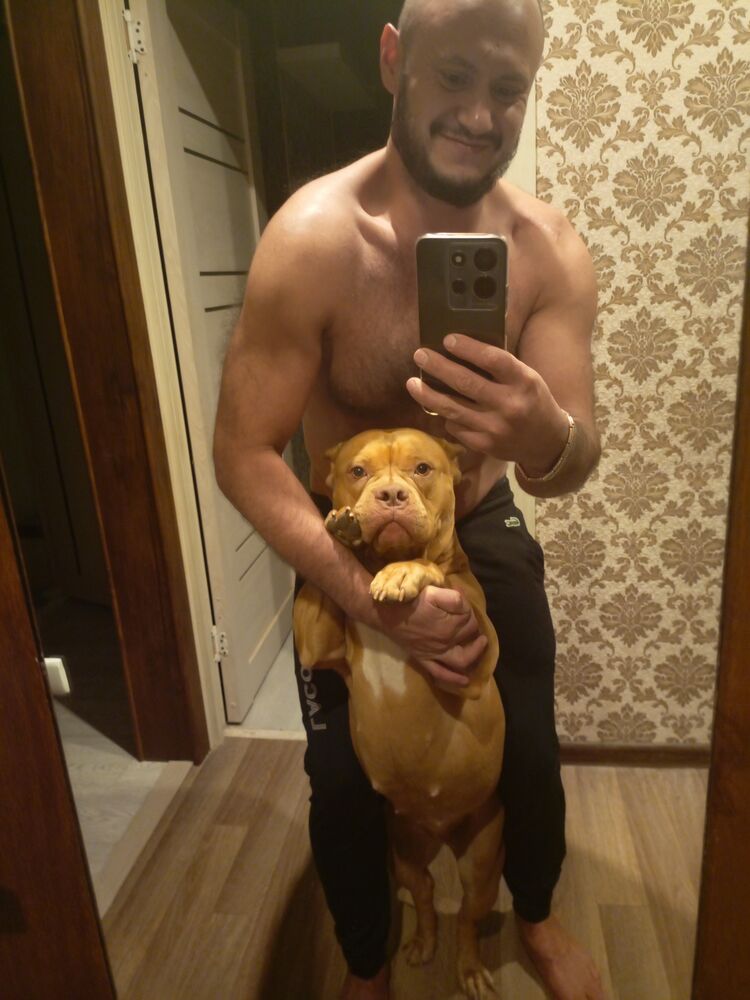 ���������� ���, ���� ������� ����, 36 ���, ������������ ��� ������, ����� � ���������